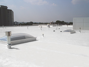 Flat Roof Replacement Services