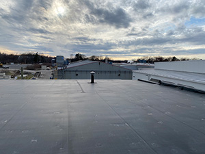 Comprehensive Roof Inspections