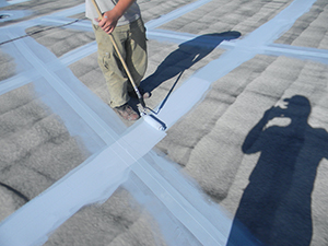 Conklin Roof Coatings1