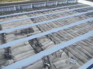 Conklin Roof Coatings 